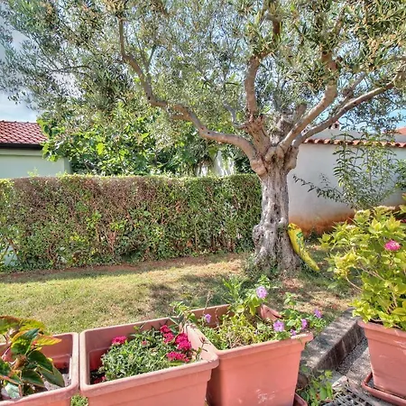 Apartment El Faro By Rent Istria Savudrija