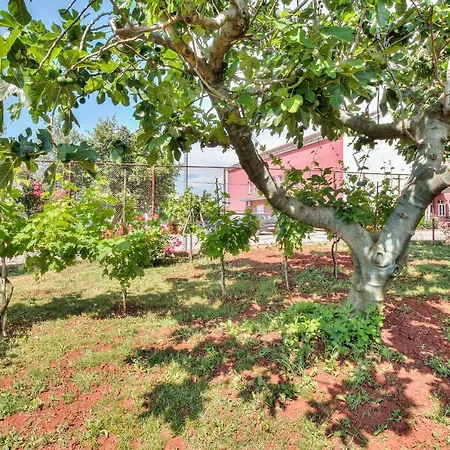 Apartment El Faro By Rent Istria *